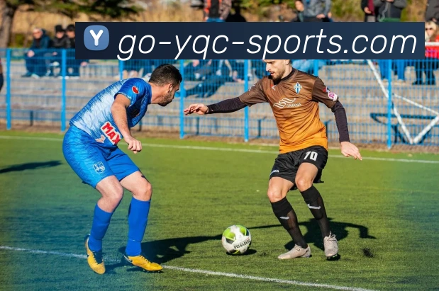 一起彩平台生态图